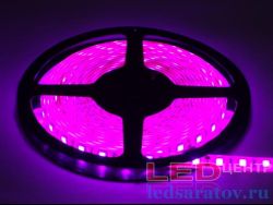 Светодиодная лента  SMD 5050, 60LED*10-12Lm, IP44, 10мм, 2pin, 12V, 14,4W-1м*5м, розовый