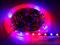 Светодиодная лента   SMD 5050, 60LED*10-12Lm, IP20, 10мм, 2pin, 12V, 14,4W-1м*5м, фито - 4, 1