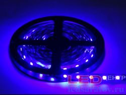 Светодиодная лента   SMD 5050, 60LED*10-12Lm, IP20, 10мм, 2pin, 12V, 14,4W-1м*5м, синий