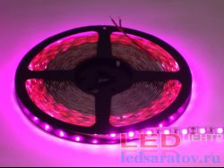 Светодиодная лента   SMD 5050, 60LED*10-12Lm, IP20, 10мм, 2pin, 12V, 14,4W-1м*5м, розовый